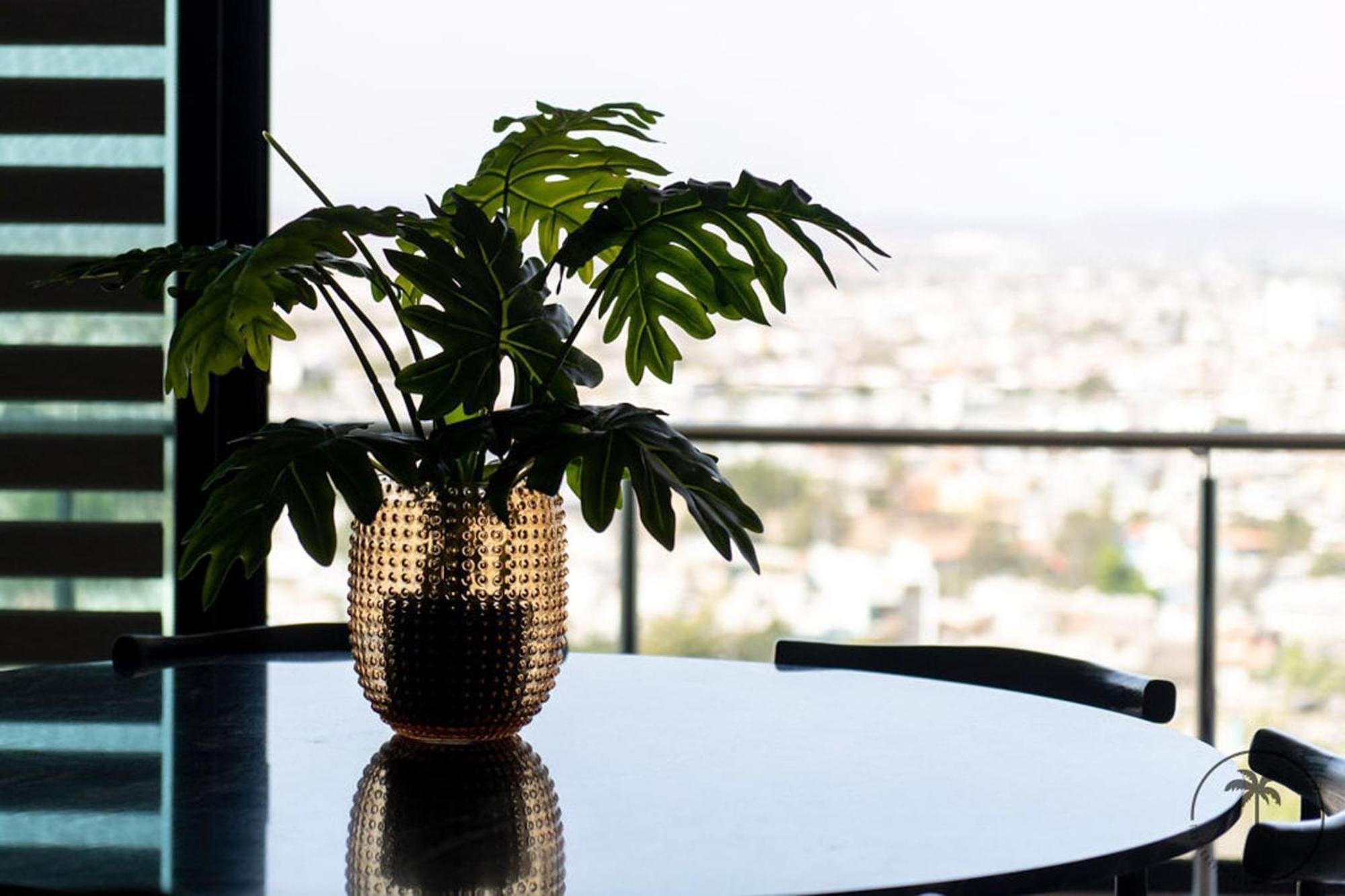 Apartmán Nuevo Departamento En El Malecon! Mazatlán Exteriér fotografie
